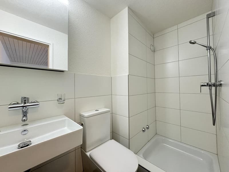 Appartement 2.5 pièces (5)