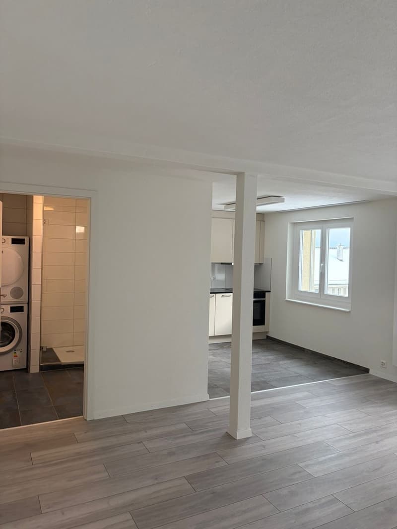 Modern studio with lake view, balcony, and top location just 5 minutes walk from Oberrieden train station (3)