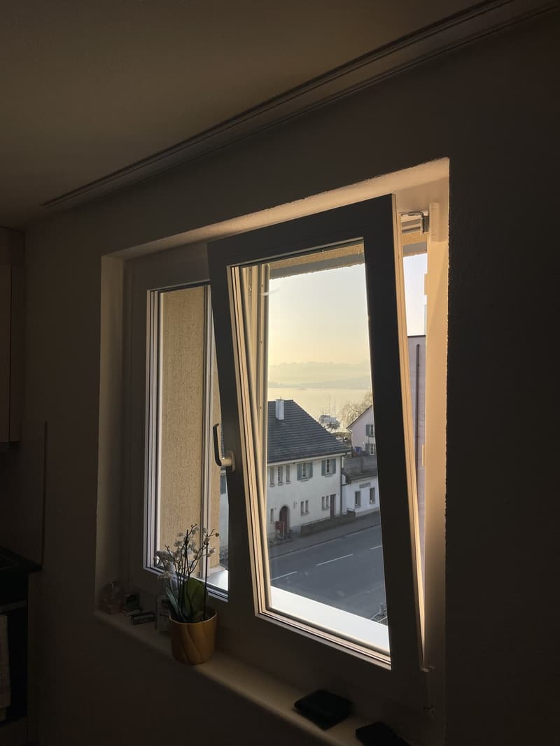 Modern studio with lake view, balcony, and top location just 5 minutes walk from Oberrieden train station (6)