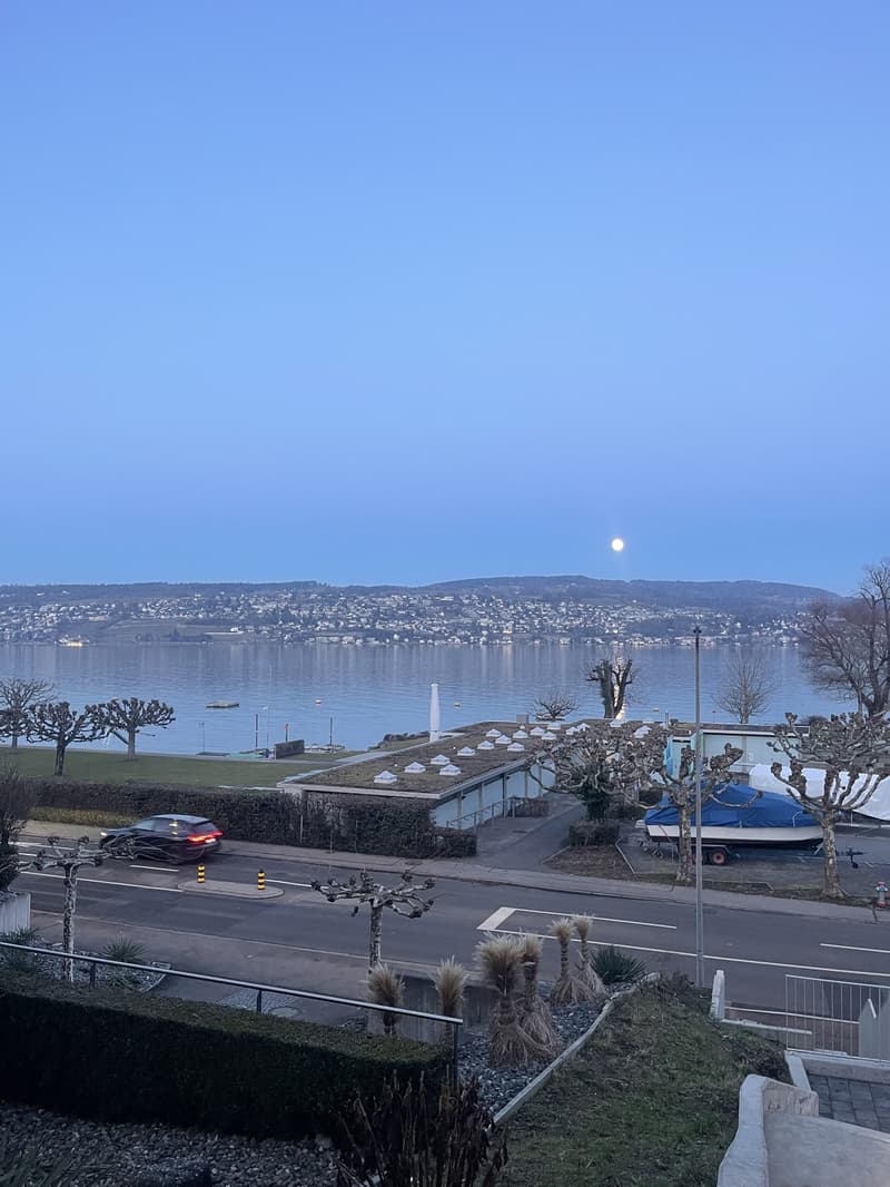 Modern studio with lake view, balcony, and top location just 5 minutes walk from Oberrieden train station (7)