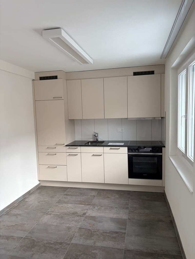Modern studio with lake view, balcony, and top location just 5 minutes walk from Oberrieden train station (4)