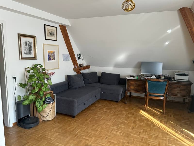 Zentrale 3,5-Zimmer-Dachwohnung in Zürich Kreis 4 (8)