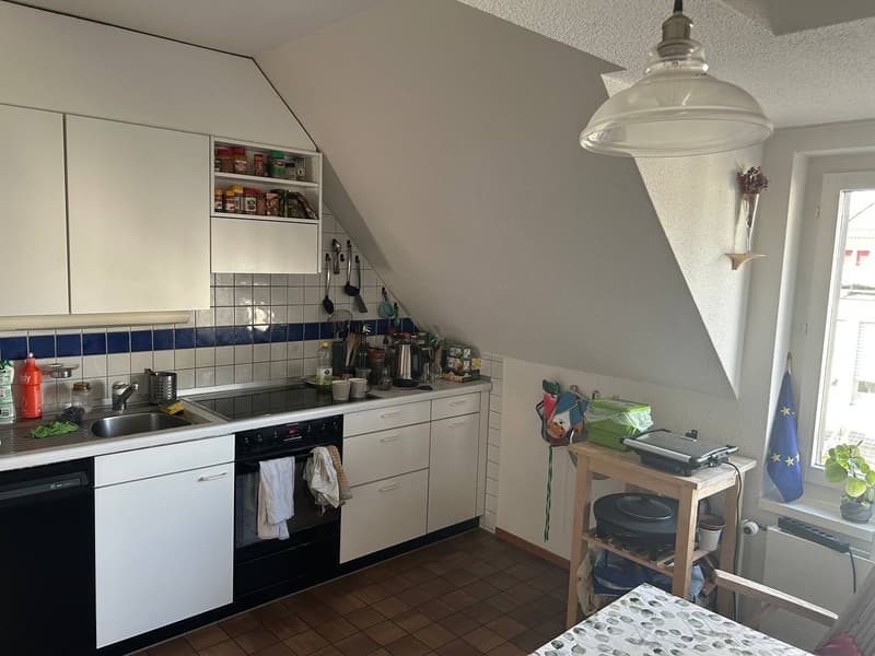 Zentrale 3,5-Zimmer-Dachwohnung in Zürich Kreis 4 (4)