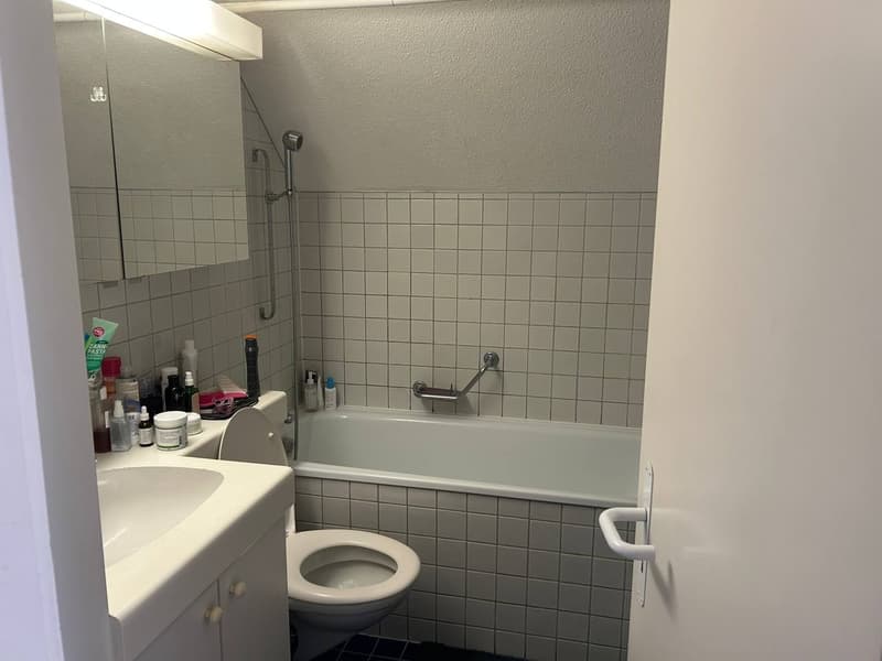 Zentrale 3,5-Zimmer-Dachwohnung in Zürich Kreis 4 (6)