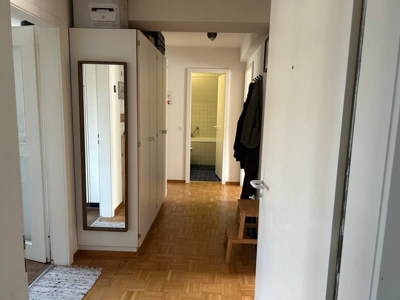 Zentrale 3,5-Zimmer-Dachwohnung in Zürich Kreis 4 (1)