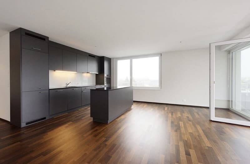 Helle große 3 1/2 Zimmer Wohnung (1)