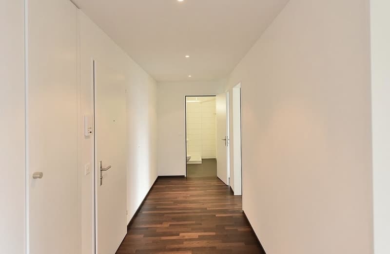 Helle große 3 1/2 Zimmer Wohnung (5)