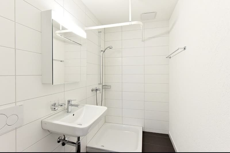Helle große 3 1/2 Zimmer Wohnung (3)