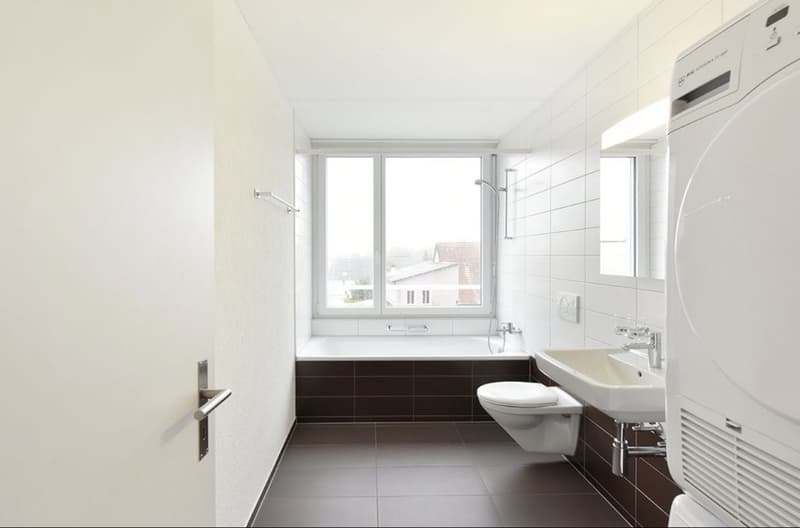 Helle große 3 1/2 Zimmer Wohnung (6)