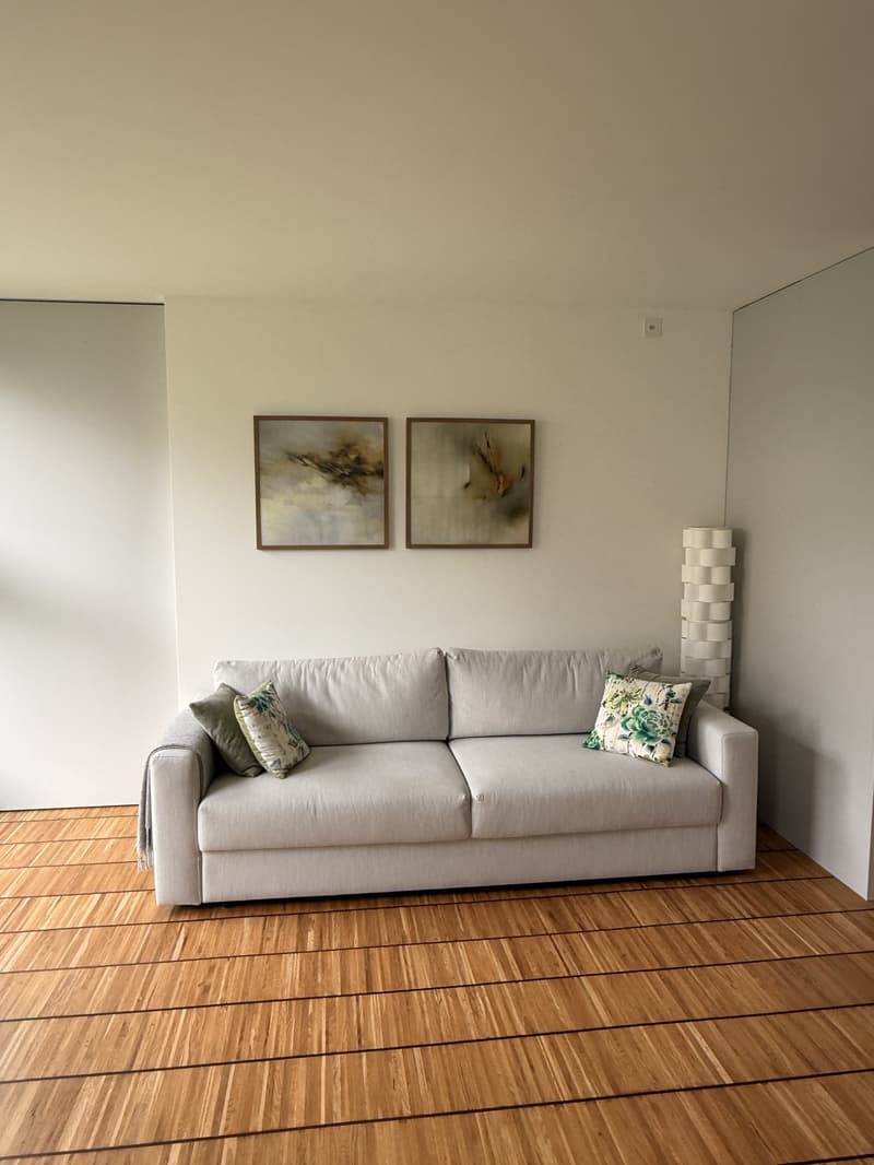 Appartement moderne de 2,5 chambres | Oerlikon (5)