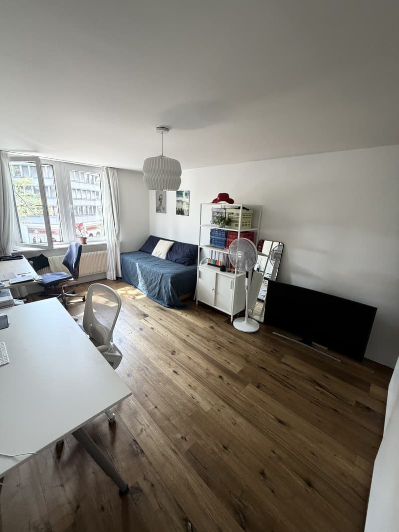 BEFRISTETE WOHNUNG 30.09.2026 - Franklinstrasse 8, 8050 (6)