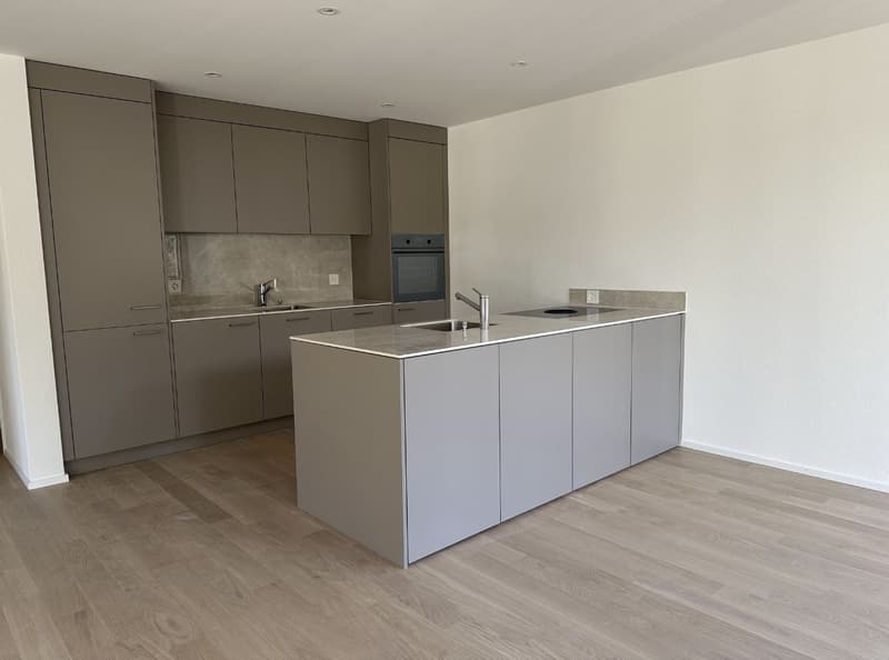 Modern and spacious 4.5 room apartment in Matzingen - Subtenant sought (2)