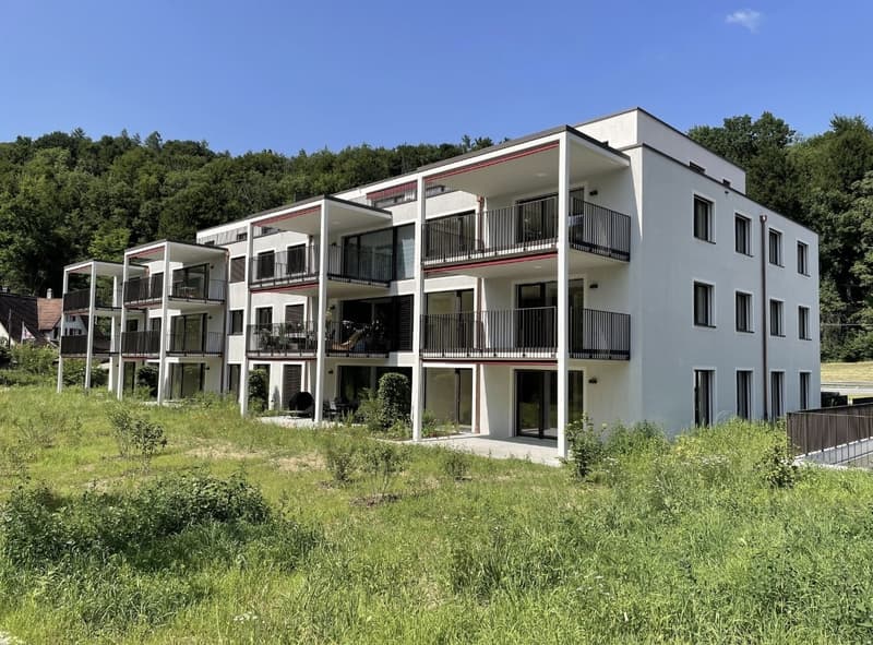 Modern and spacious 4.5 room apartment in Matzingen - Subtenant sought (6)