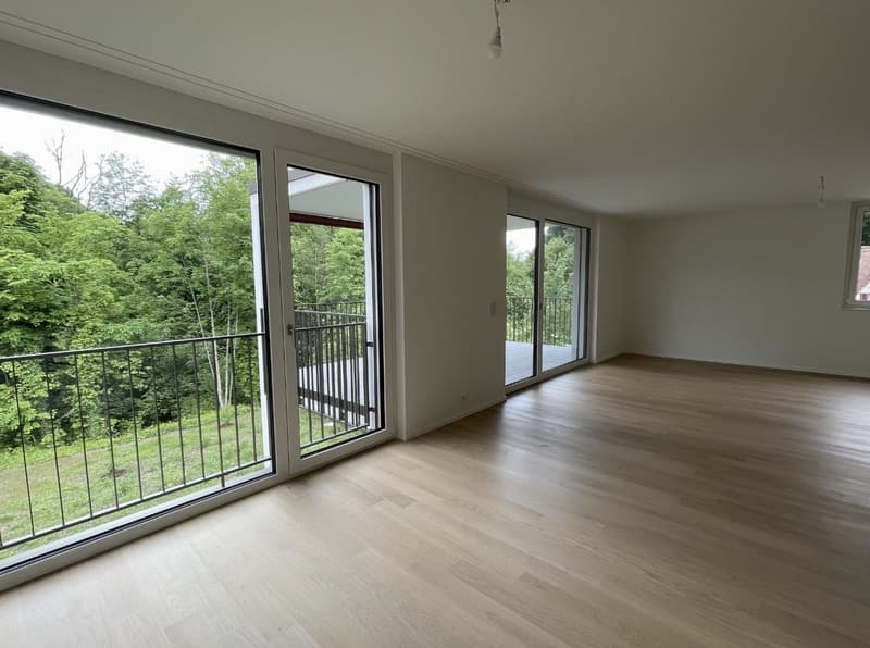 Modern and spacious 4.5 room apartment in Matzingen - Subtenant sought (1)