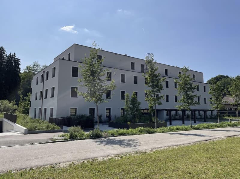 Modern and spacious 4.5 room apartment in Matzingen - Subtenant sought (7)