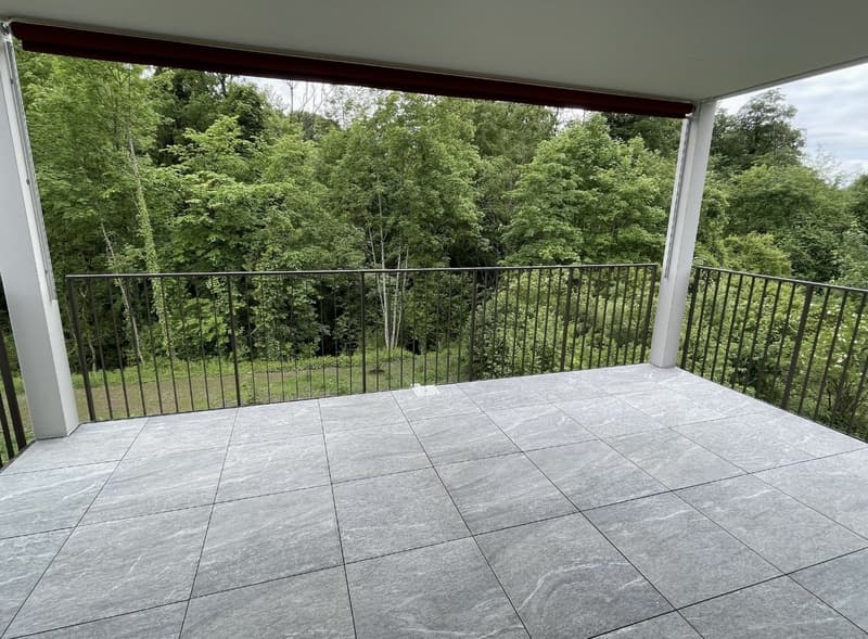Modern and spacious 4.5 room apartment in Matzingen - Subtenant sought (5)