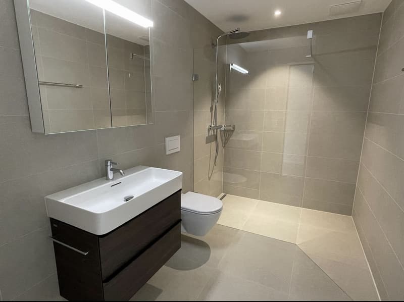 Modern and spacious 4.5 room apartment in Matzingen - Subtenant sought (4)