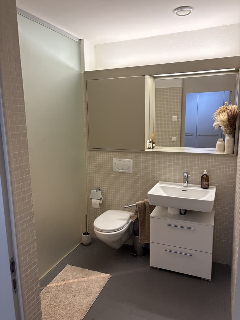 Chambre lumineuse de colocation avec vue sur le lac à Rüschlikon (6)