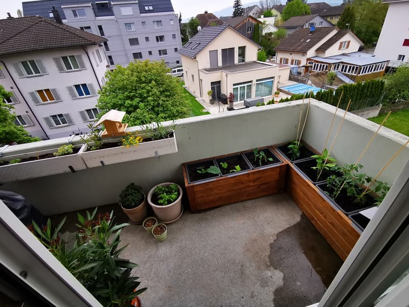 Modern 2-room apartment in Uster (5)