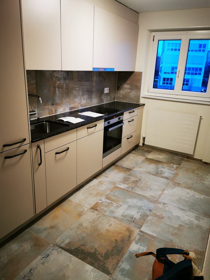 Modern 2-room apartment in Uster (2)