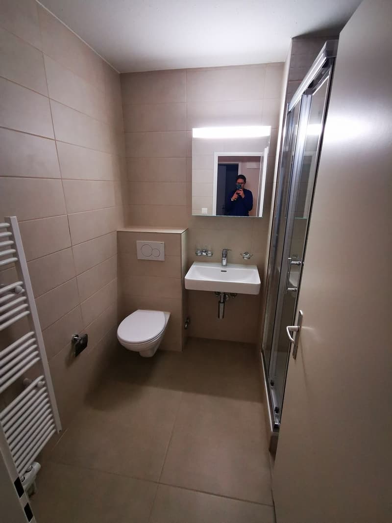 Modern 2-room apartment in Uster (3)