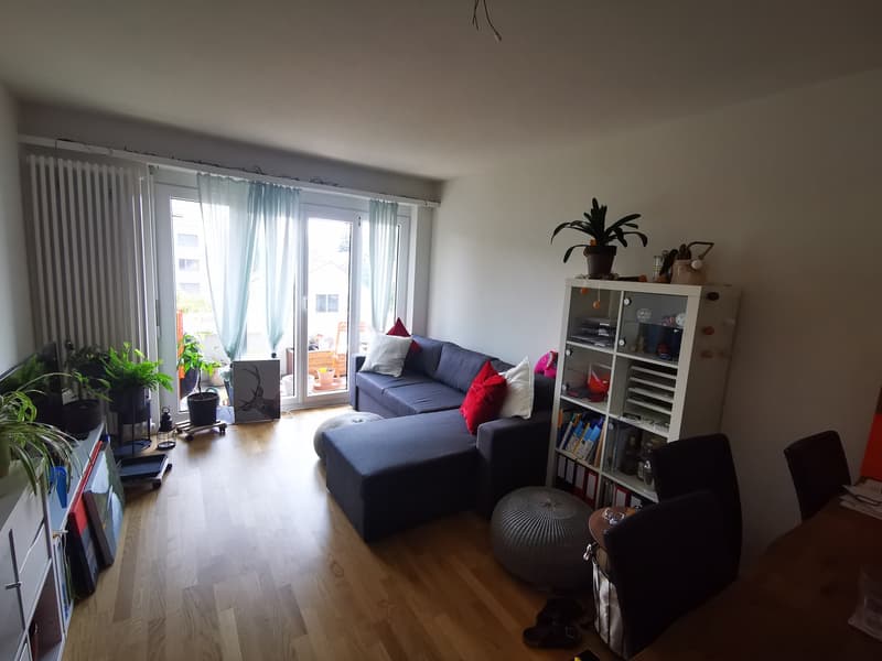 Modern 2-room apartment in Uster (1)