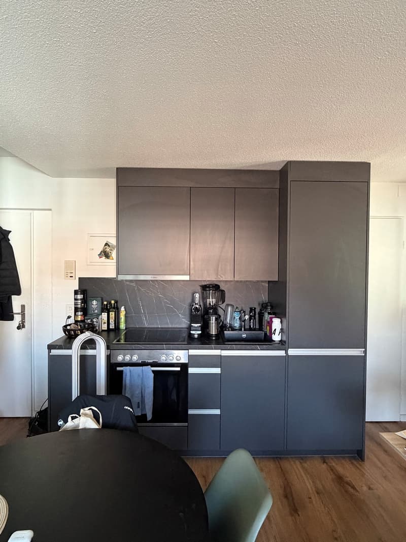 2 Zimmer-Wohnung, 8055 Zurich (1)