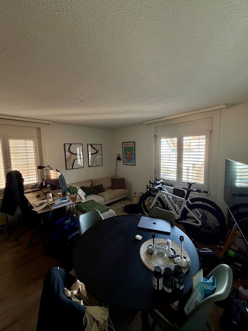 2 Zimmer-Wohnung, 8055 Zurich (2)