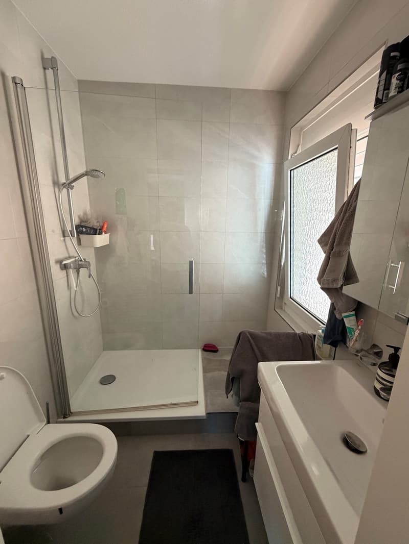 2 Zimmer-Wohnung, 8055 Zurich (3)
