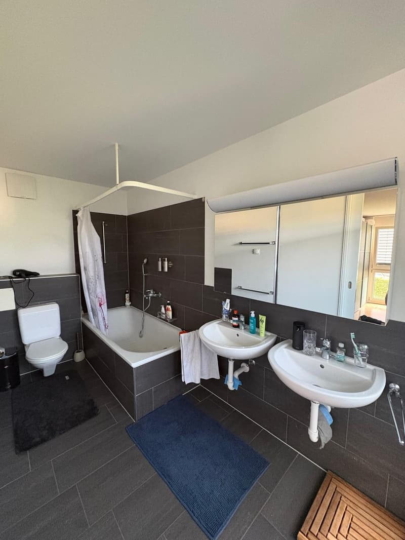 Spacious room with private bathroom in modern apartment (4)
