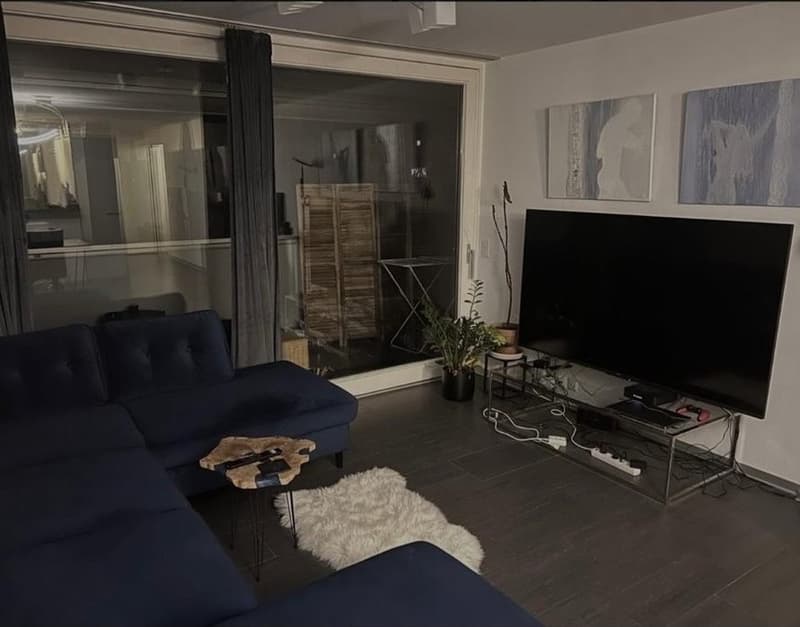 Spacious room with private bathroom in modern apartment (7)