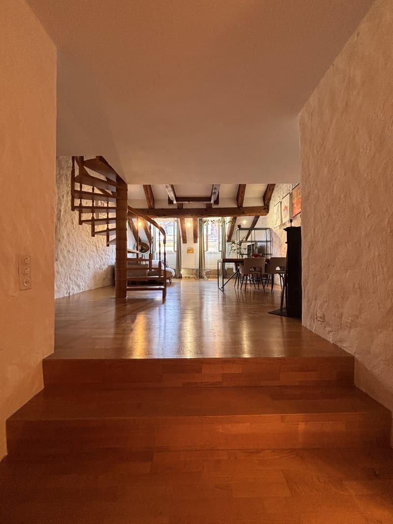 Einzigartige Attika-Dachwohnung mit Terrasse in der Berner Altstadt 2.5 Zimmer (2)