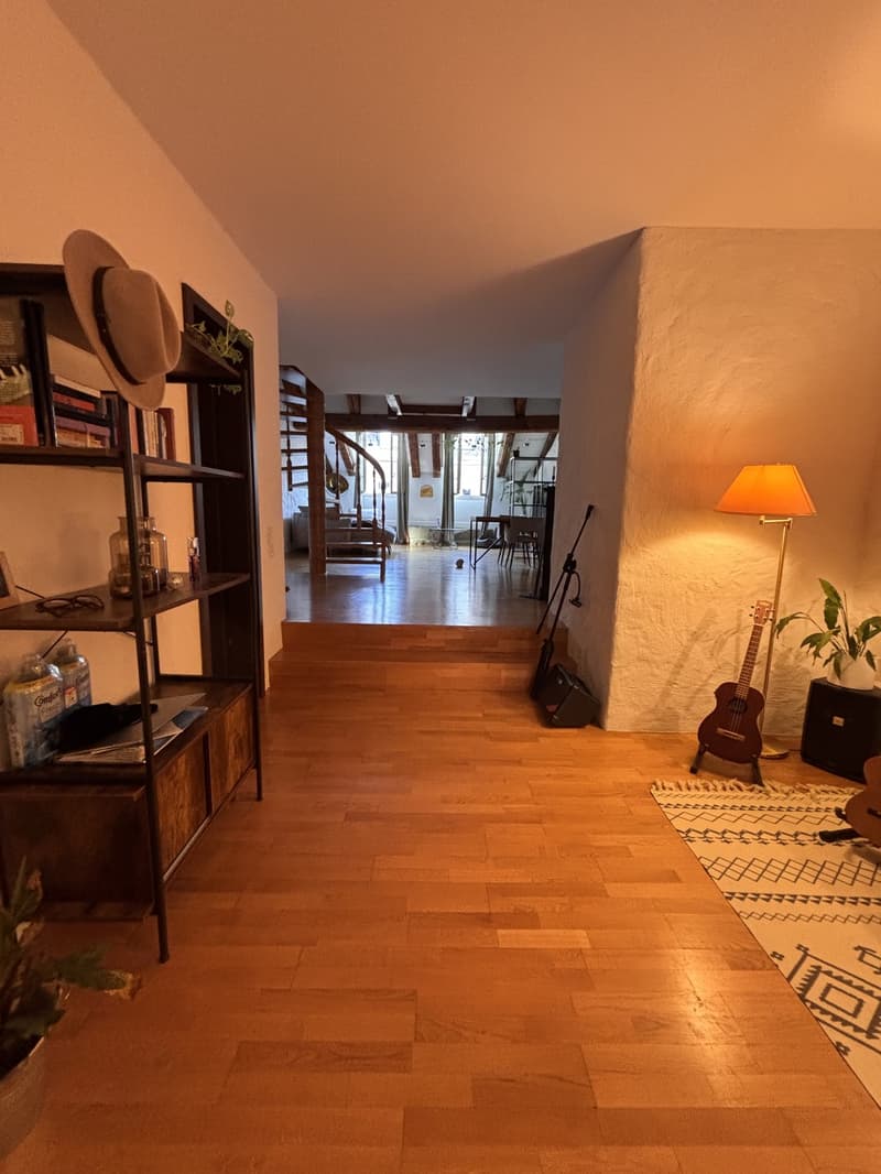 Einzigartige Attika-Dachwohnung mit Terrasse in der Berner Altstadt 2.5 Zimmer (1)