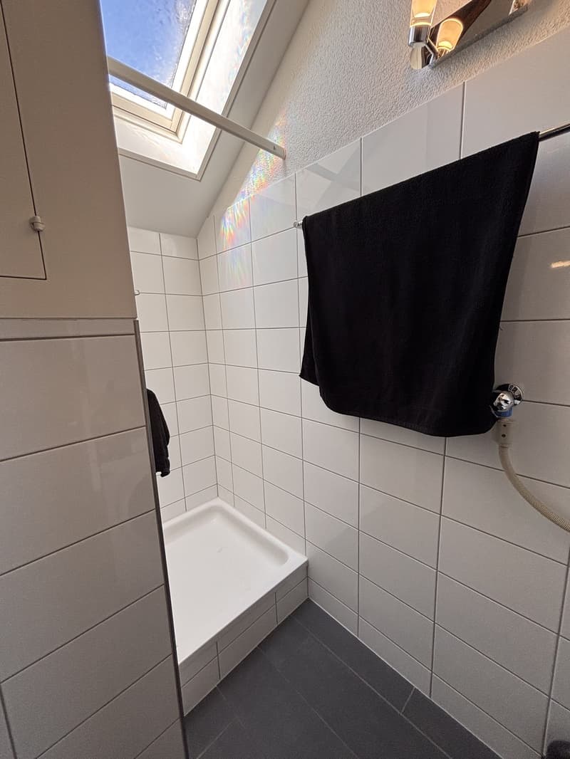 Einzigartige Attika-Dachwohnung mit Terrasse in der Berner Altstadt 2.5 Zimmer (10)
