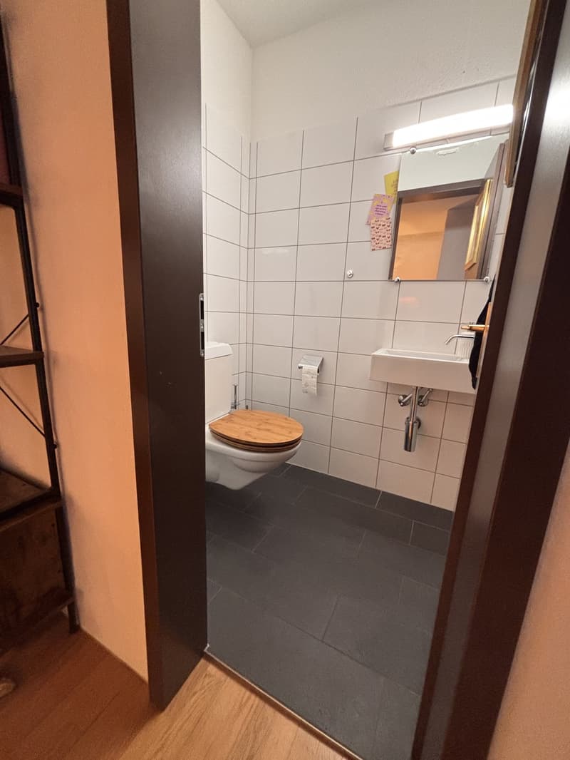 Einzigartige Attika-Dachwohnung mit Terrasse in der Berner Altstadt 2.5 Zimmer (4)