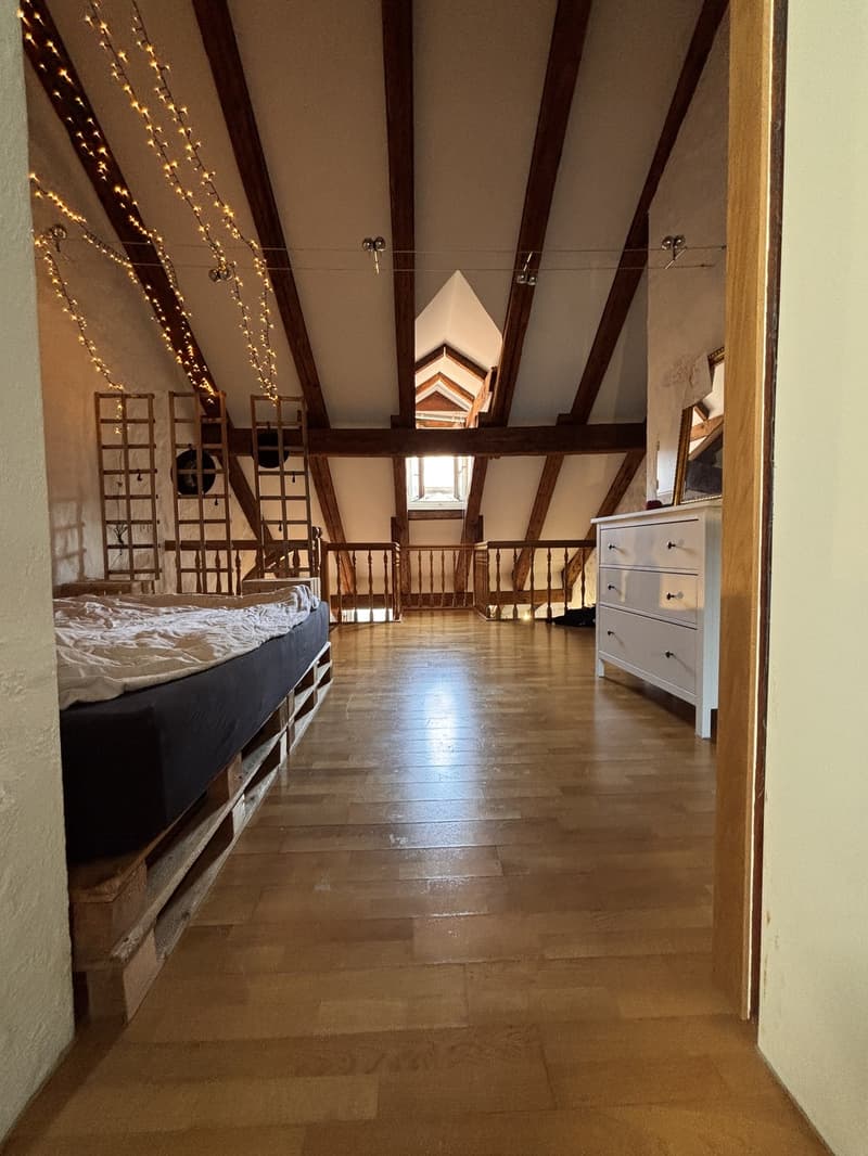 Einzigartige Attika-Dachwohnung mit Terrasse in der Berner Altstadt 2.5 Zimmer (8)