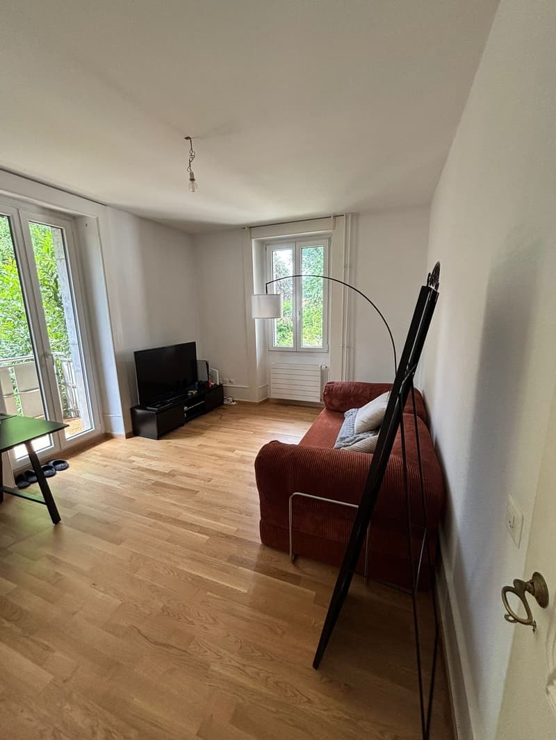 For Rent  4-Room Apartment  Chêne-Bougeries (6)