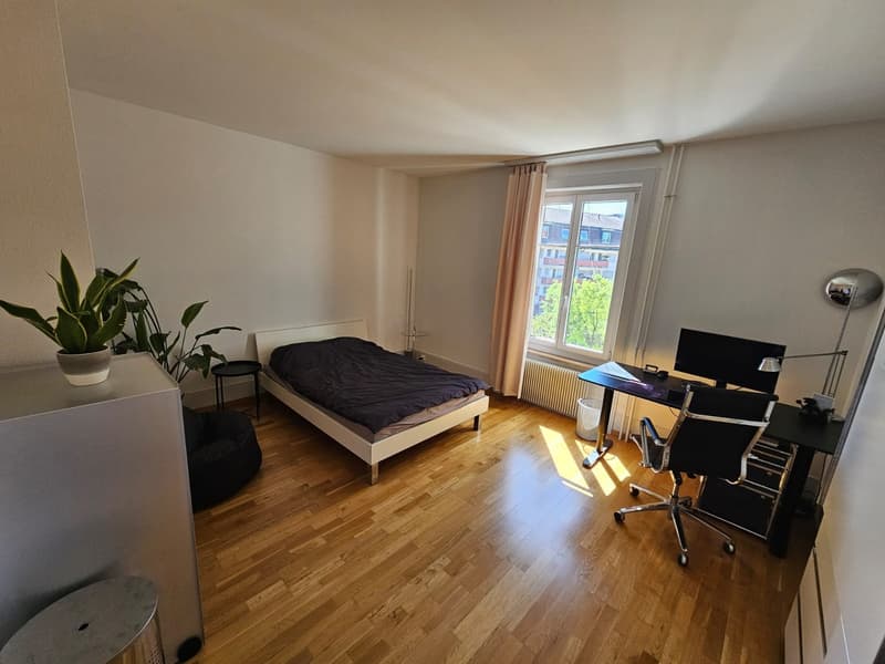 Appartement meublé 2.5 pièces en sous-location (à partir du 14 septembre pour environ 6 mois) (3)