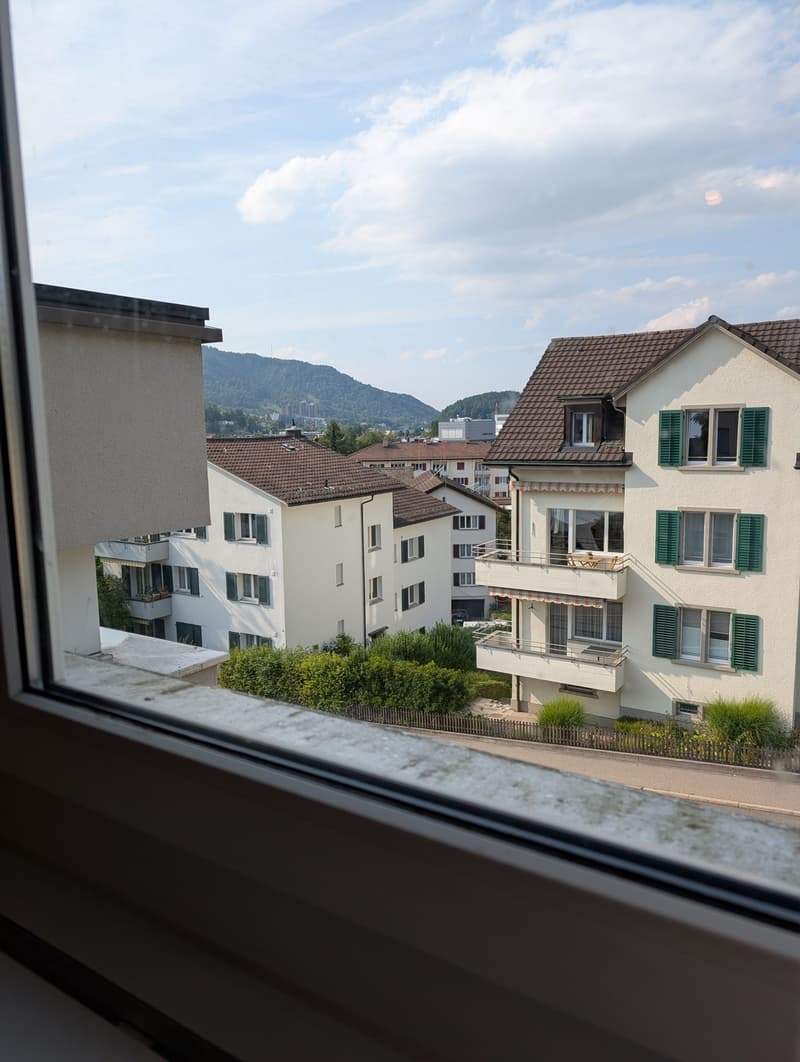 Appartamento accogliente e tranquillo ad Adliswil (11)