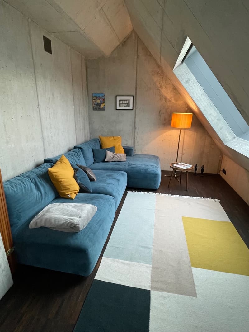 2.5 Zi-Loftwohnung zur Untermiete (3 - 6 Monate) ab sofort / 2.5-Room Loft Apartment for Sublet (3-6 Months) (3)