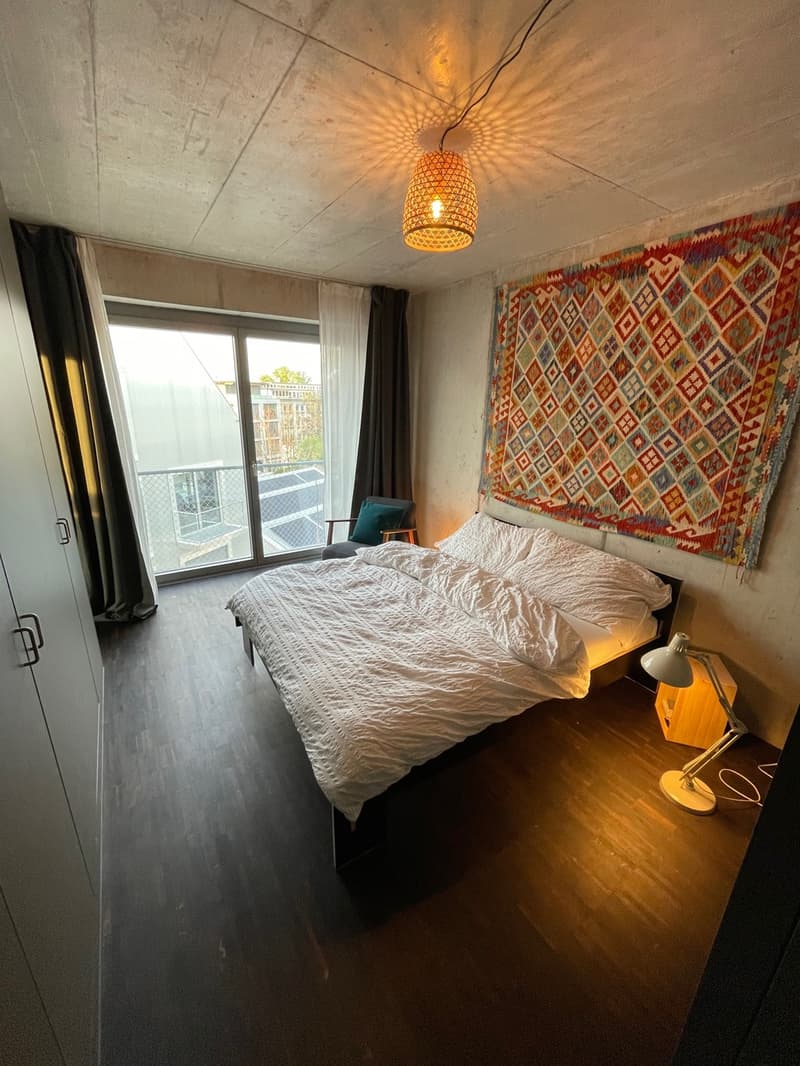2.5 Zi-Loftwohnung zur Untermiete (3 - 6 Monate) ab sofort / 2.5-Room Loft Apartment for Sublet (3-6 Months) (5)