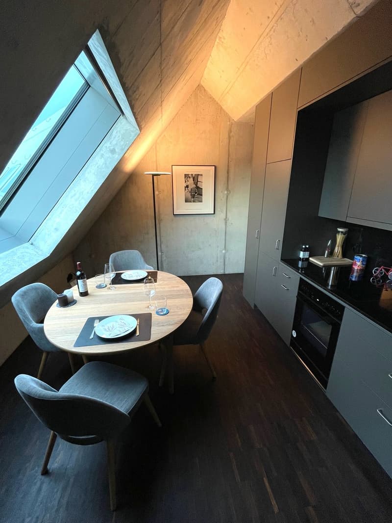 2.5 Zi-Loftwohnung zur Untermiete (3 - 6 Monate) ab sofort / 2.5-Room Loft Apartment for Sublet (3-6 Months) (4)