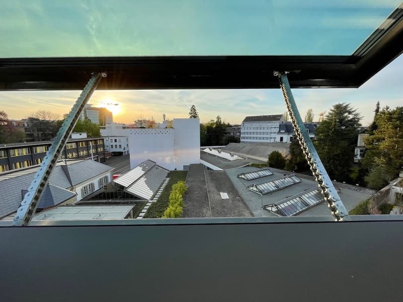 2.5 Zi-Loftwohnung zur Untermiete (3 - 6 Monate) ab sofort / 2.5-Room Loft Apartment for Sublet (3-6 Months) (6)
