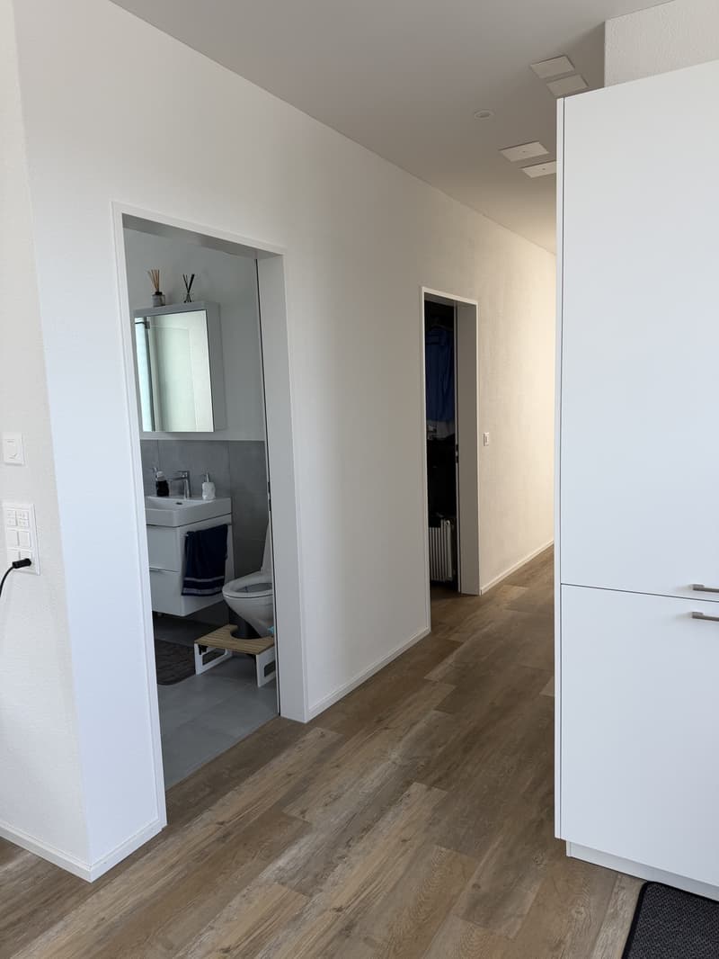 Stunning Top-Floor Apartment (90sqm) (3)