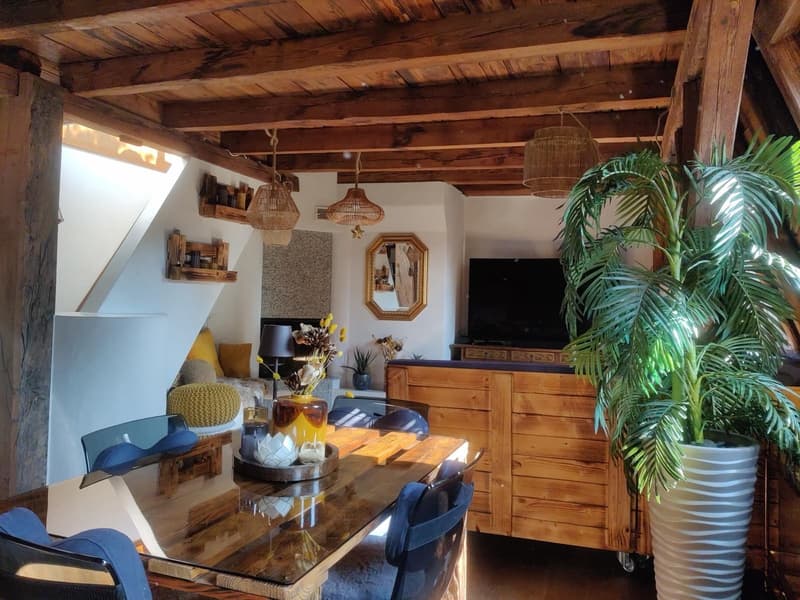 WG-Zimmer in grosser Rooftop-Wohnung, zentrale Lage (befristet 2 bis 3 Monate) (4)