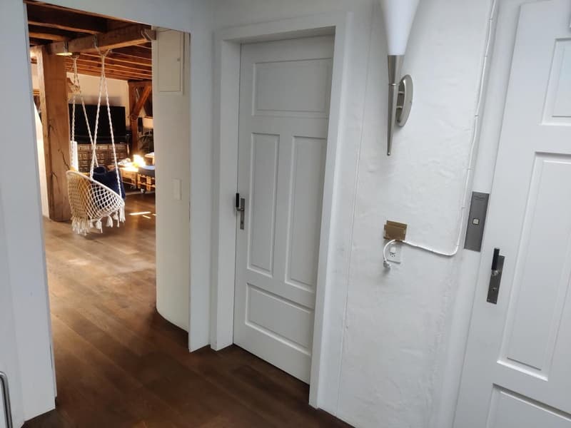 WG-Zimmer in grosser Rooftop-Wohnung, zentrale Lage (befristet 2 bis 3 Monate) (8)
