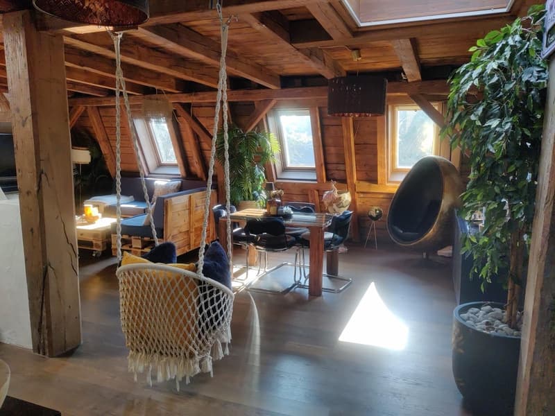 WG-Zimmer in grosser Rooftop-Wohnung, zentrale Lage (befristet 2 bis 3 Monate) (7)