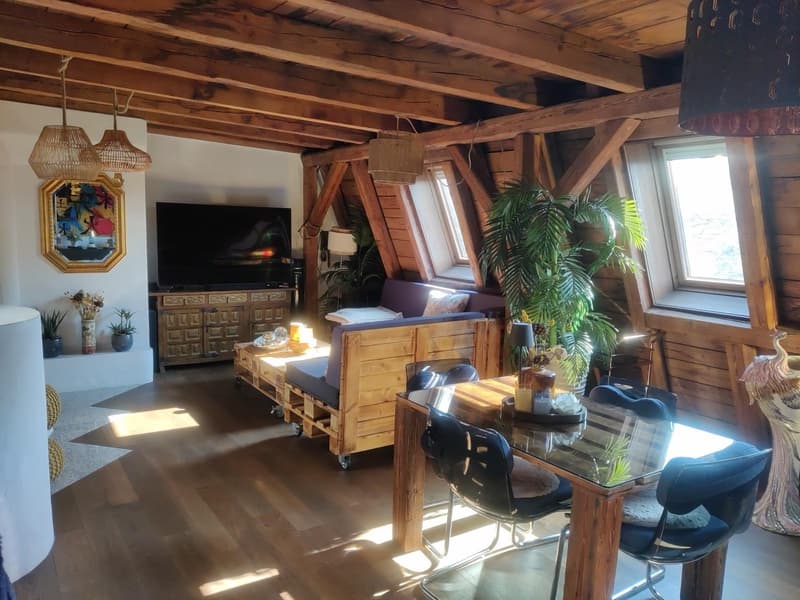 WG-Zimmer in grosser Rooftop-Wohnung, zentrale Lage (befristet 2 bis 3 Monate) (6)