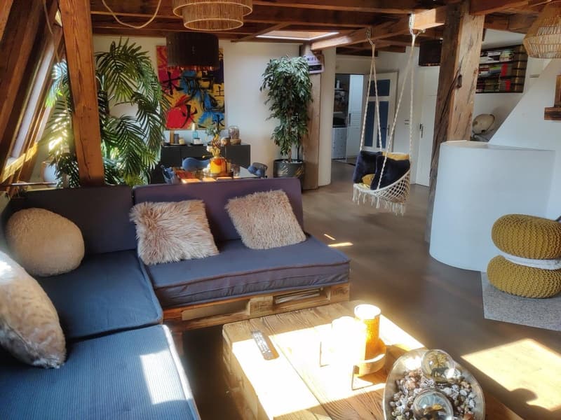 WG-Zimmer in grosser Rooftop-Wohnung, zentrale Lage (befristet 2 bis 3 Monate) (5)