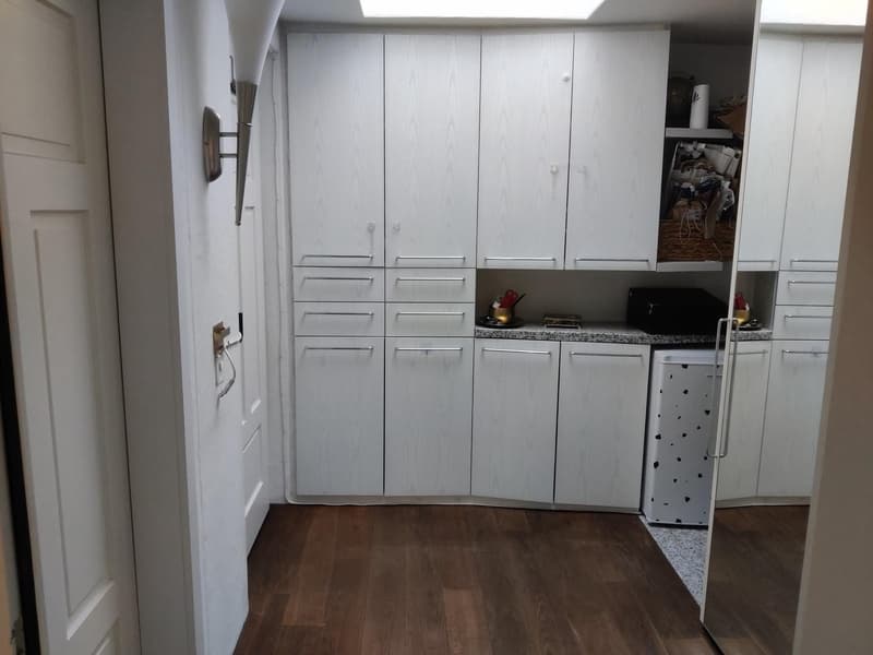WG-Zimmer in grosser Rooftop-Wohnung, zentrale Lage (befristet 2 bis 3 Monate) (9)